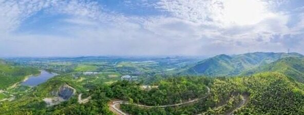 大象传媒app无限-探索大象传媒APP的无限可能，从创新到用户体验的深度剖析