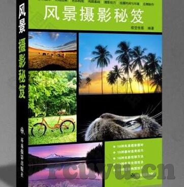 大象传媒和麻豆-大象传媒与麻豆，跨界融合的数字娱乐新生态