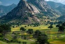 大象传媒免费版-探索大象传媒免费版的无限可能