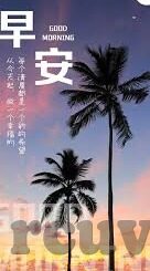 大象视频导航回家-奇迹之旅，大象的智慧与视频导航回家的故事