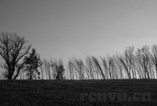 大象视频网站在哪里-探索大象视频网站的奇妙之旅，解锁在线娱乐新视界