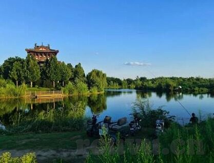黄色成人在线视频-黄色成人在线视频，网络时代的隐秘与风险