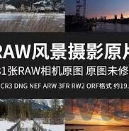 类似糖心直播的app-探讨直播平台，网络新风尚中的糖心直播类App