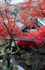 日本伦理电影中文字幕最新2019-探索日本伦理电影新篇章，2019年最新中文字幕精选