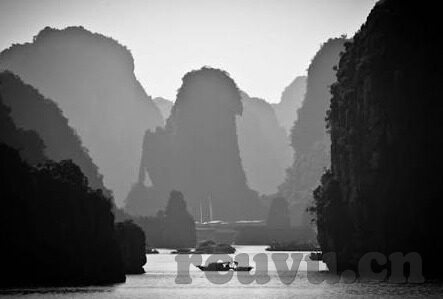 三上悠亚在线中文字幕-探索三上悠亚在线中文字幕的魅力世界