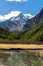 糖心app苹果打不开-糖心app苹果设想的困扰，为何在你我手指尖悄然失灵