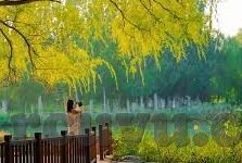 婷婷91麻豆精品-婷婷在光影下的独特魅力——麻豆精品中的个体展现