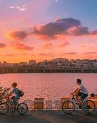 下媚药系列中文字幕-迷离夜色下的暗流——揭秘下媚药系列的隐秘世界