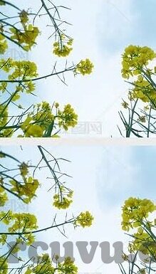 亚洲av日韩av天堂一区二区三区-亚洲与日韩AV内容，文化、法律与道德的边界
