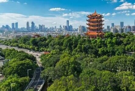 自在电影伦理在线播放-自在电影，伦理视角下的在线播放新纪元
